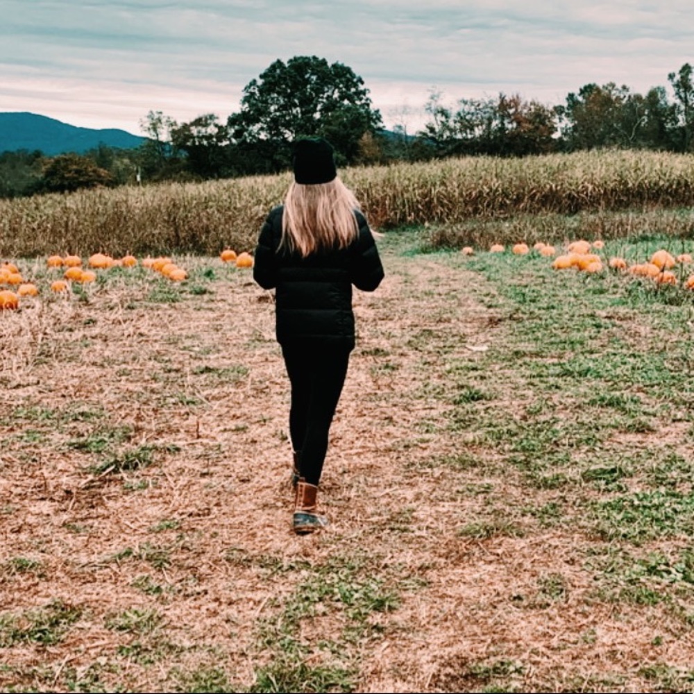Meet your Posher, Anne